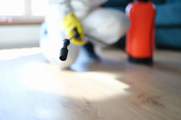 Professional Mold Removal in Emigsville, PA